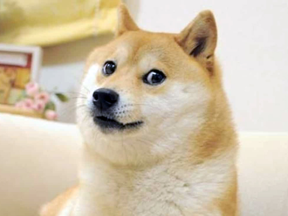 MUCHWOW community doge meme