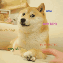 Animated doge meme