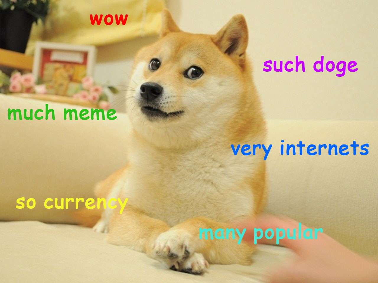 MUCHWOW community doge meme