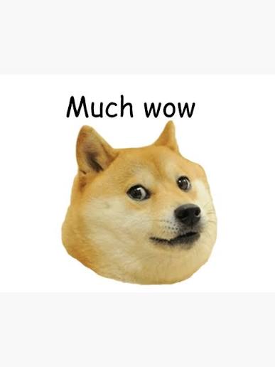 Doge head with Much wow caption