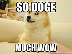 So doge, much wow meme